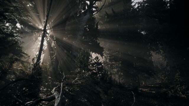 What is Nature of Dread?