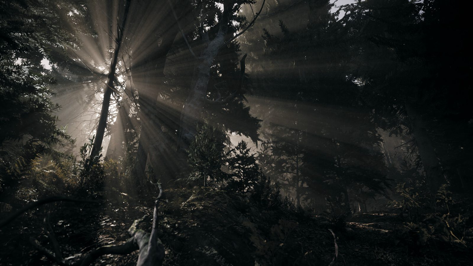 Official Steam store screenshot — birch forest with light breaking through the canopy